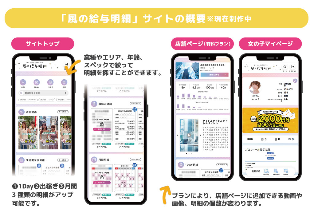 「風の給与明細」サイトの概要
